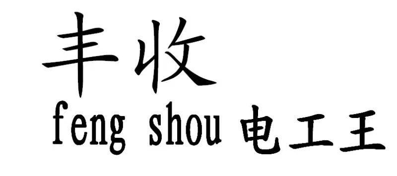 丰收电工王 FENG SHOU