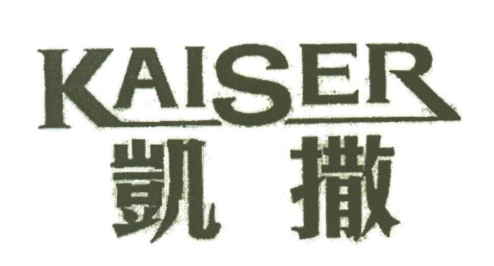 凯撒;KAISER
