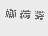 娜荷芽