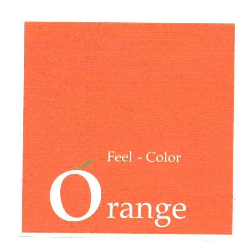 ORANGE;FEEL COLOR