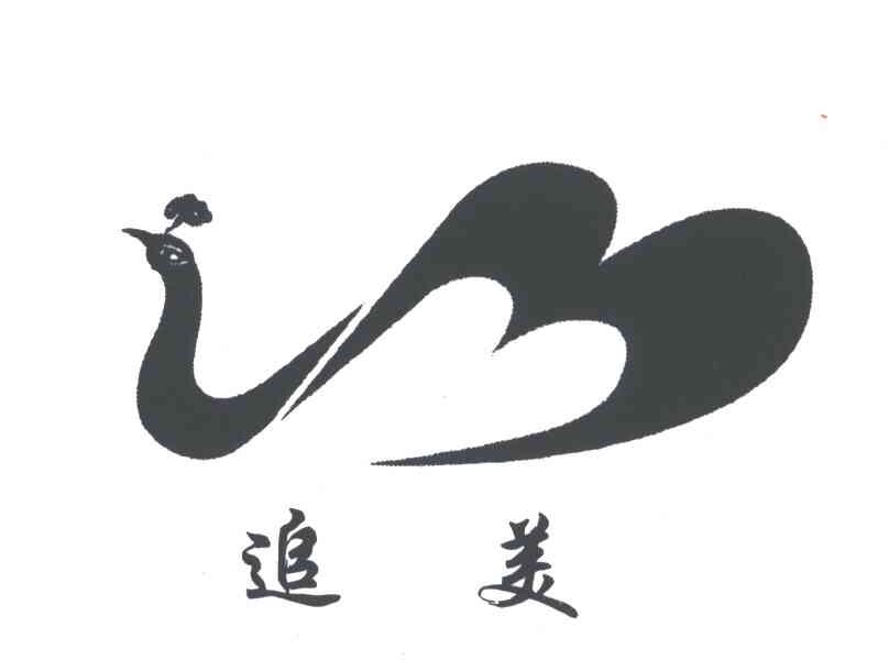 追美