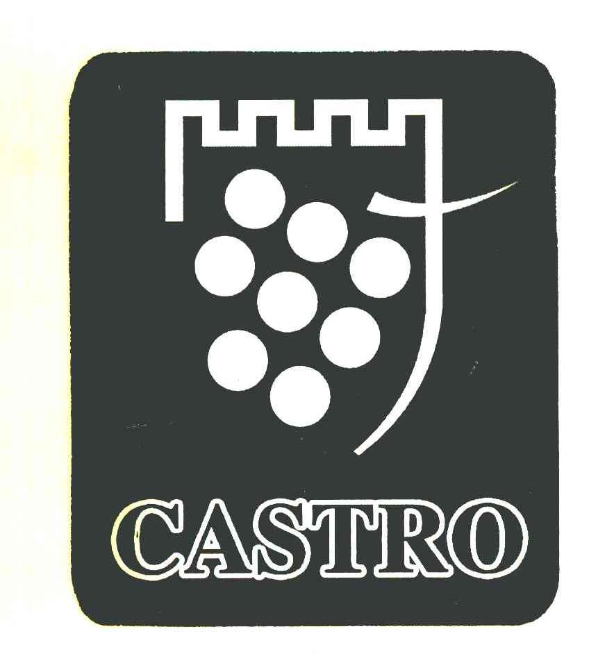 CASTRO