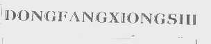 DONGFANGXIONGSHI