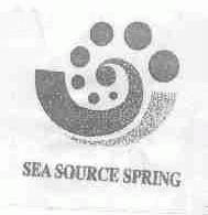 SEA SOURCE SPRING