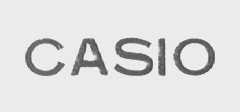 CASIO