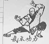 武术功力