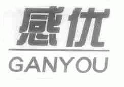 感优