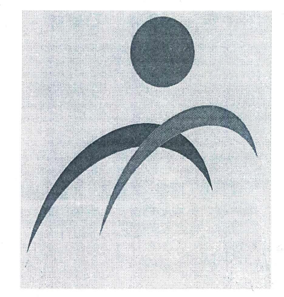 图形