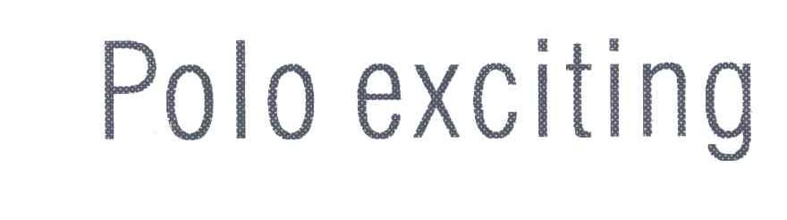POLO EXCITING