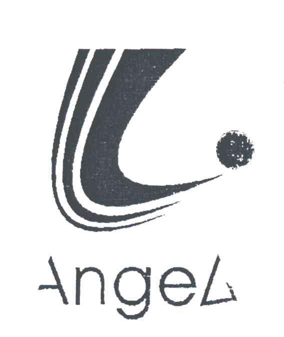 ANGEL及图