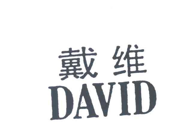 戴维DAVID