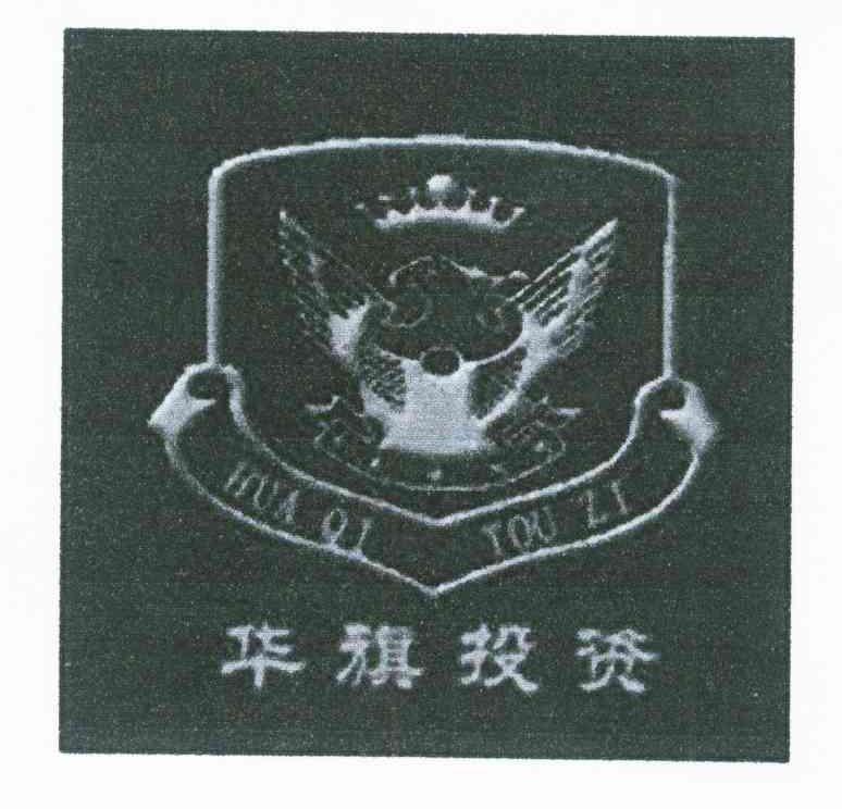 华旗投资