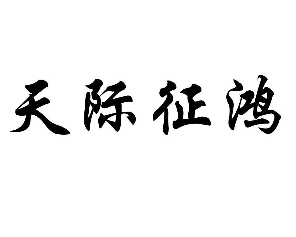 天际征鸿