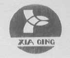 XIA QING