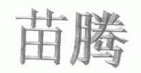 苗腾