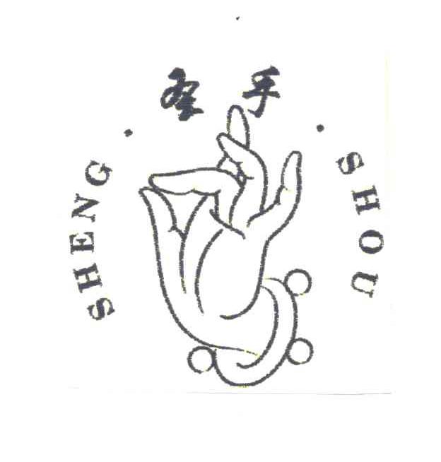 圣手