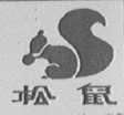 松鼠