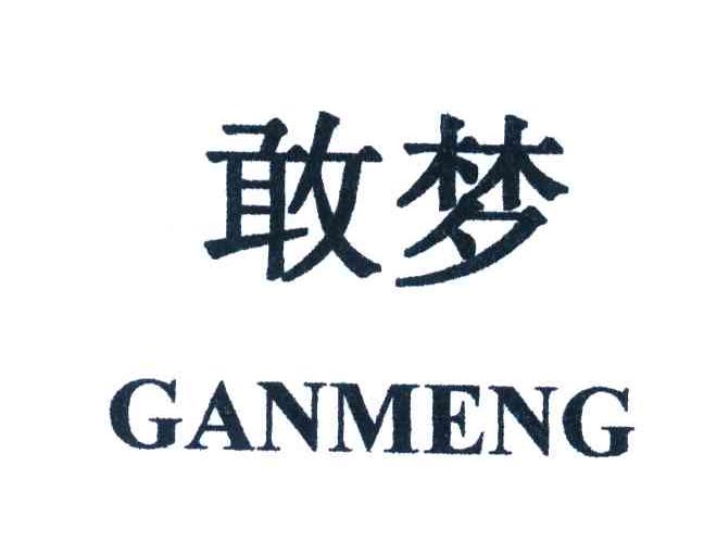 敢梦