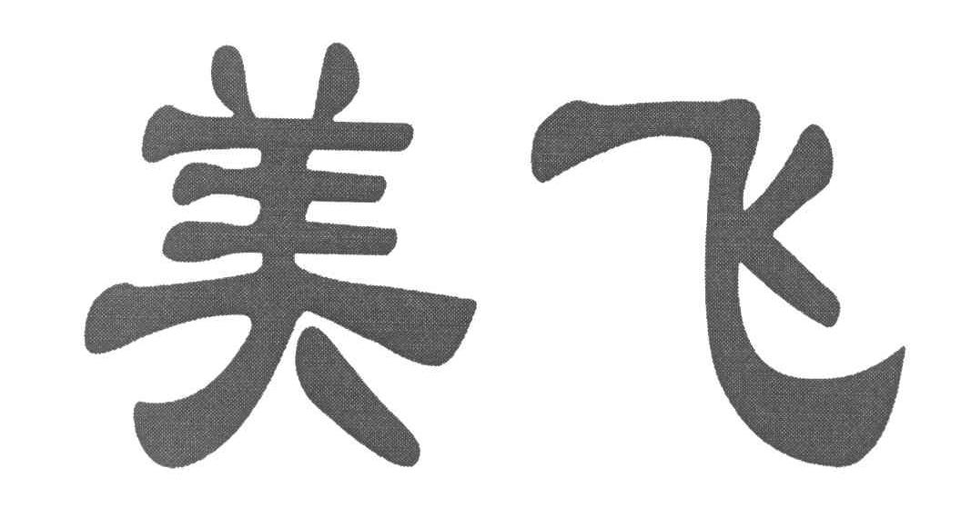 美飞