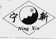 宁新