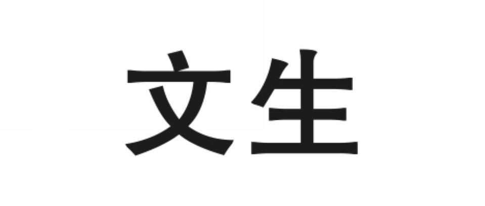 文生