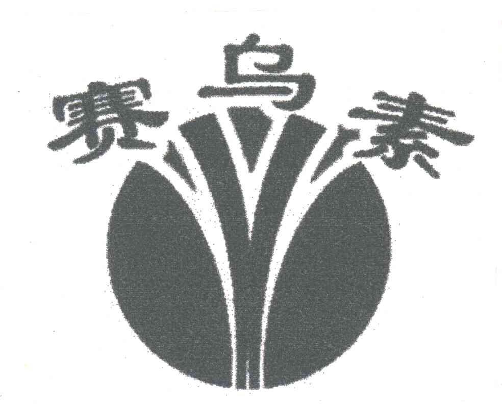 赛乌素