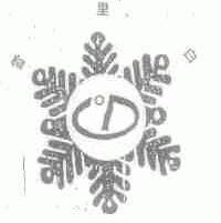 雪里白