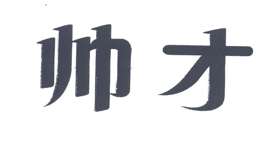 帅才