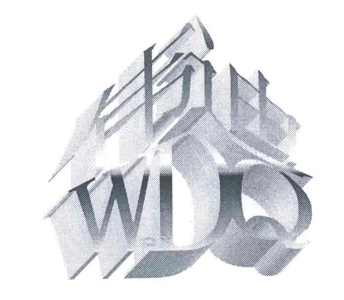 伟迪WDQ