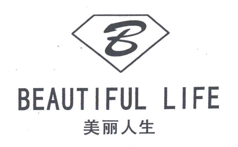 美丽人生;BEAUTIFUL LIFE;B