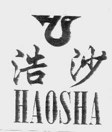 浩沙