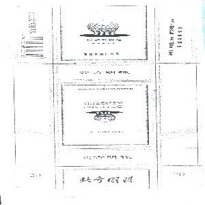 北方明珠