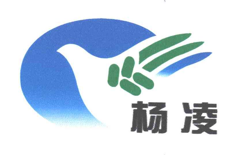 杨凌