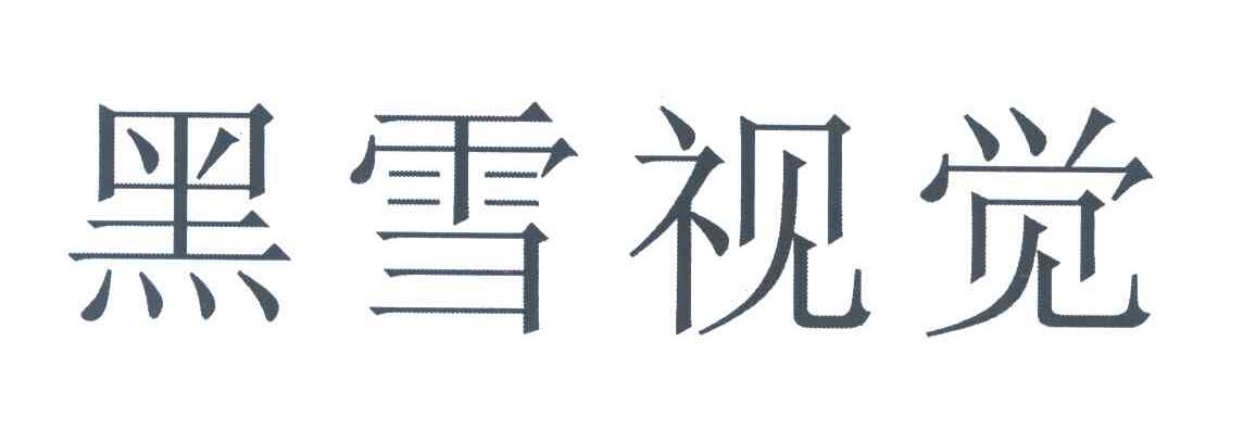 黑雪视觉