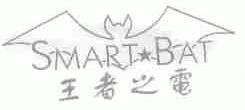 王者之电;SMART BAT