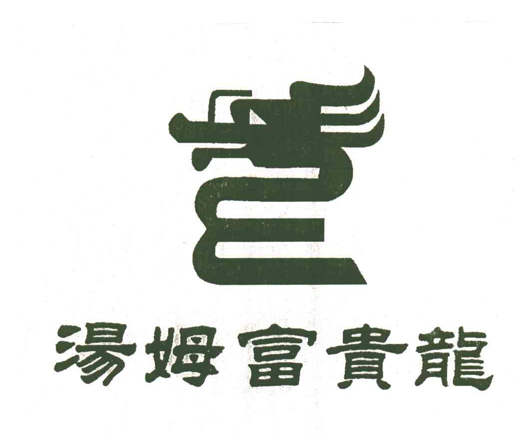 汤姆富贵龙及图形