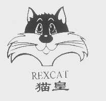 猫皇   REXCAT