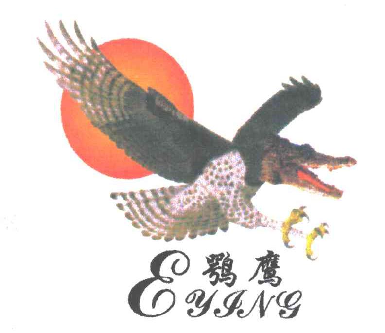 鹗鹰