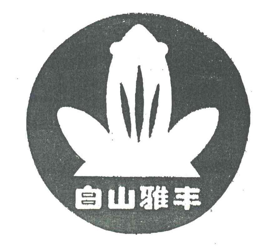 白山雅丰