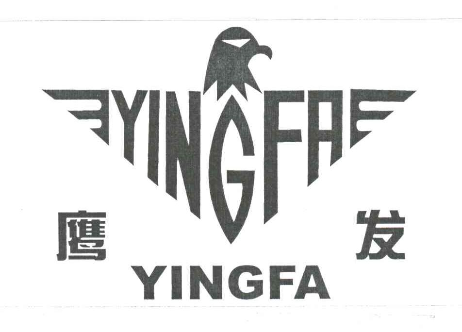 鹰发