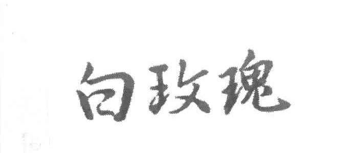 白玫瑰