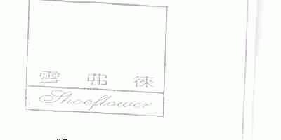 雪弗徕;SHOEFLOWER