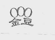 金豆