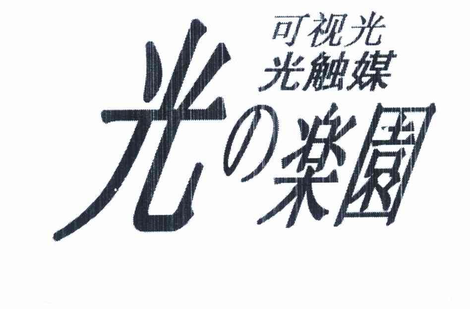 光乐园 可视光光触媒