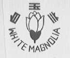 白玉兰    WHITE MAGNOLIA