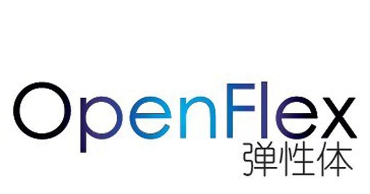 弹性体 OPENFLEX