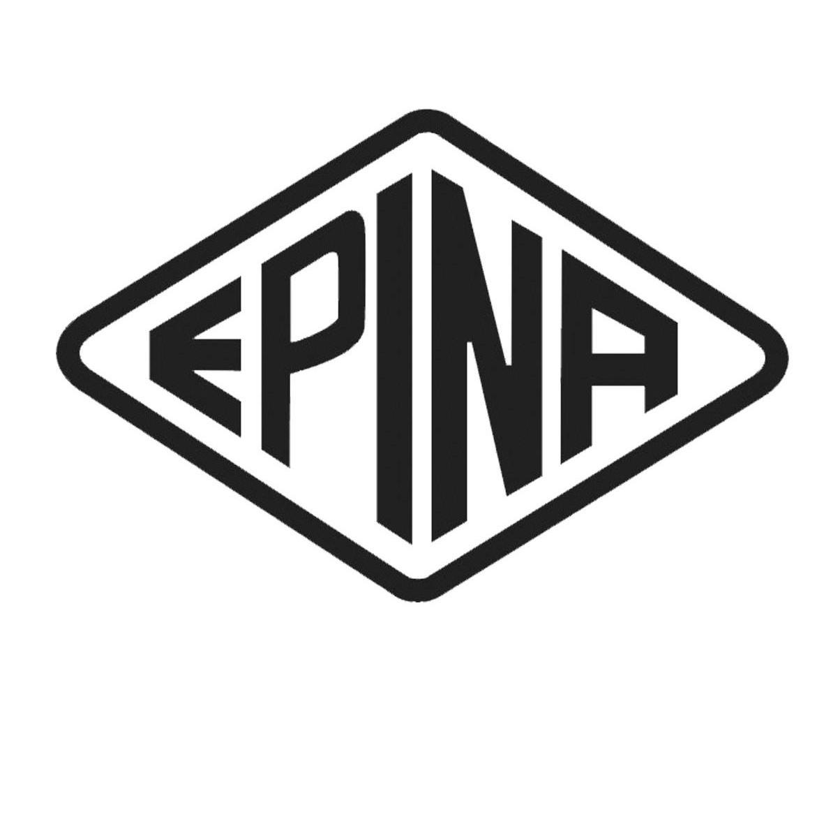 EPINA