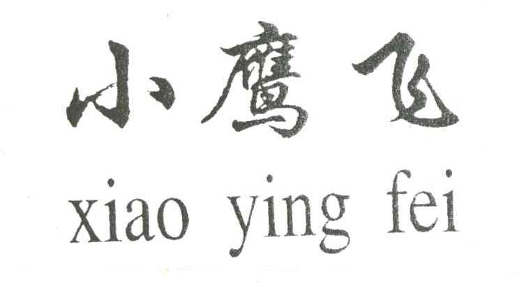 小鹰飞