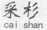 采杉