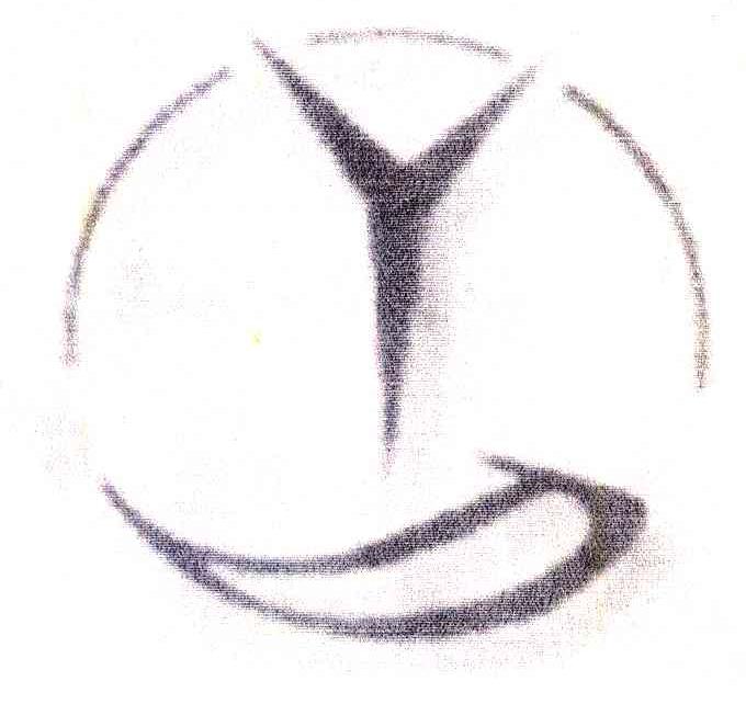YD